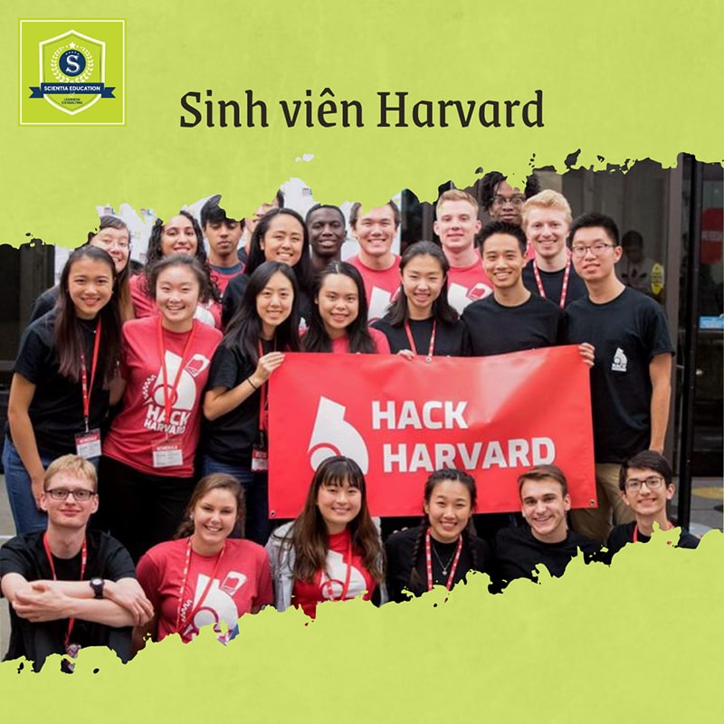 Cơ hội việc làm sau tốt nghiệp Đại học Harvard