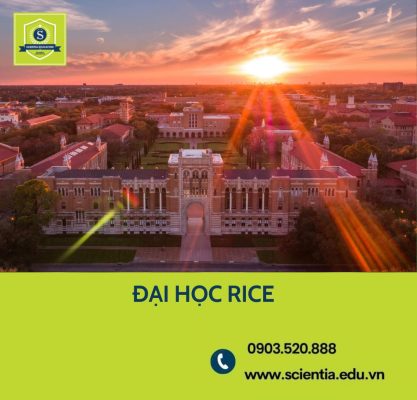 Đại học Rice