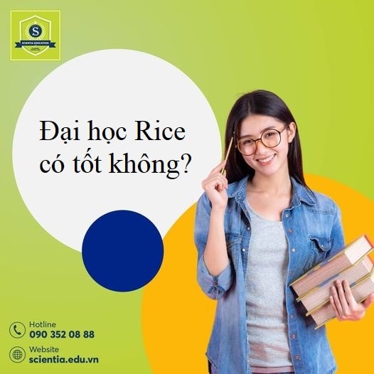 Chất lượng của Đại học Rice có phải là điều bạn mong muốn?