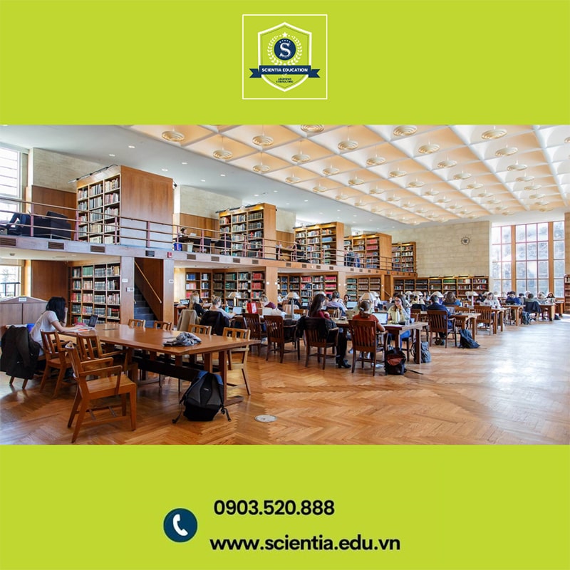 Cơ hội việc làm sau khi tốt nghiệp Đại học Princeton