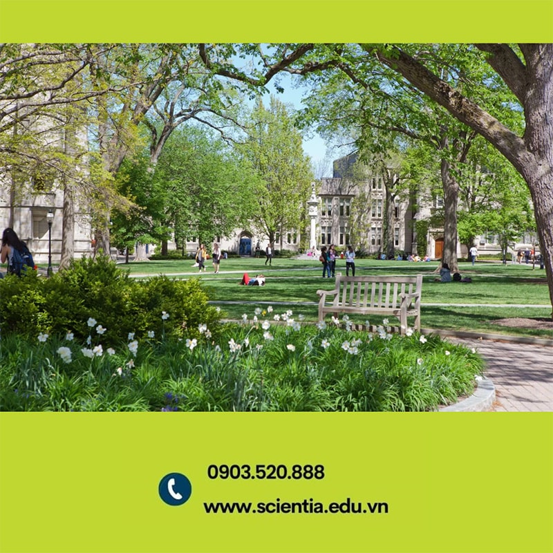 Cơ sở vật chất Đại học Princeton