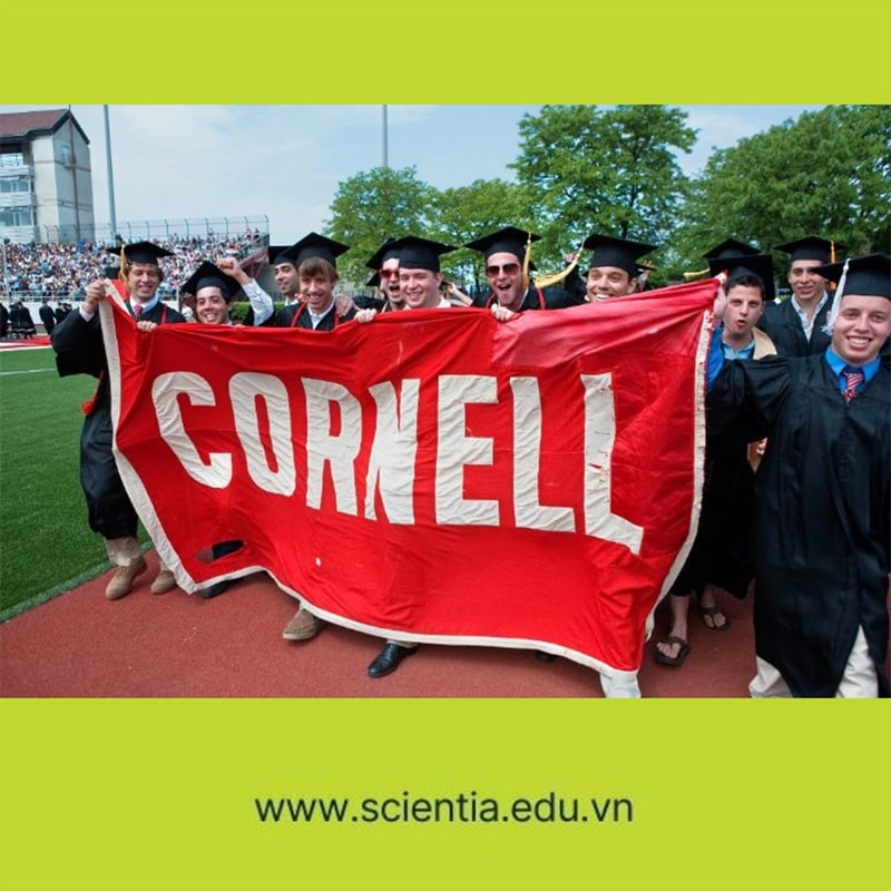 Sinh viên tốt nghiệp Đại học Cornell được nhà tuyển dụng săn đón