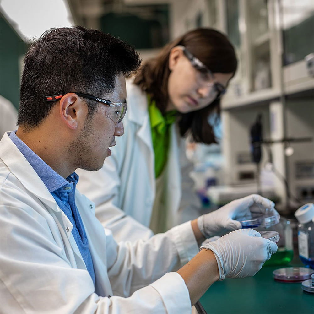 Ngành học Chemical Engineering tại Michigan State University