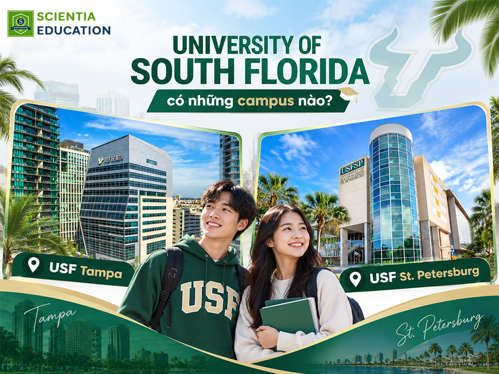 University of South Florida có những campus nào